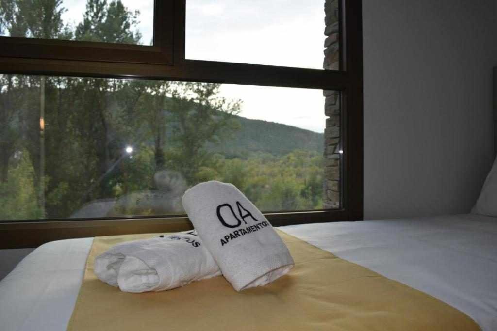 Apartamentos Ordesa Aínsa Rom bilde