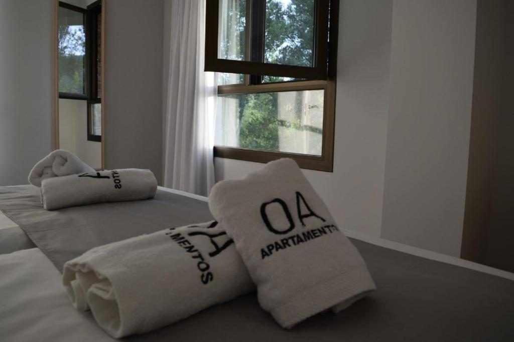 Apartamentos Ordesa Aínsa Rom bilde