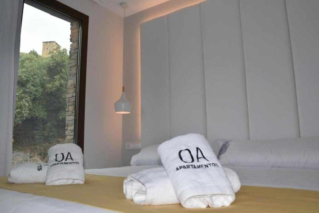 Apartamentos Ordesa Aínsa Rom bilde